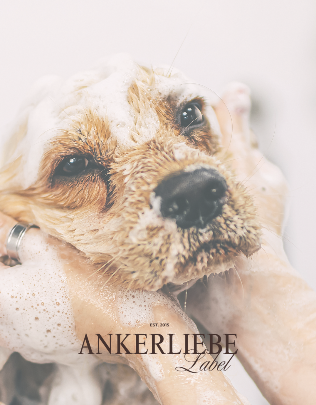 Tierpflege