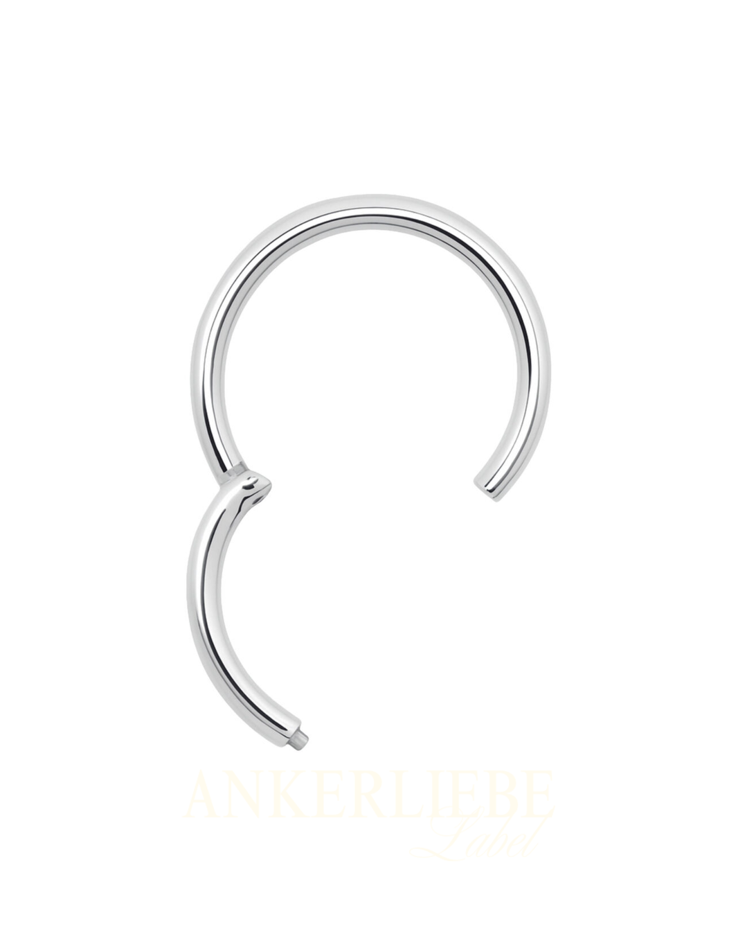 image silver segmentring | piercing