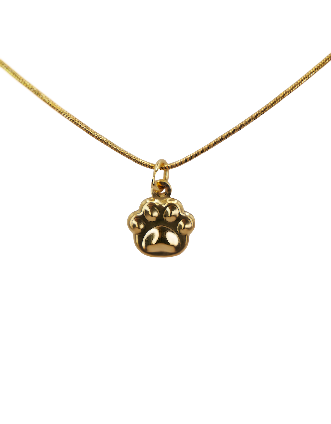 lucky paw | halskette