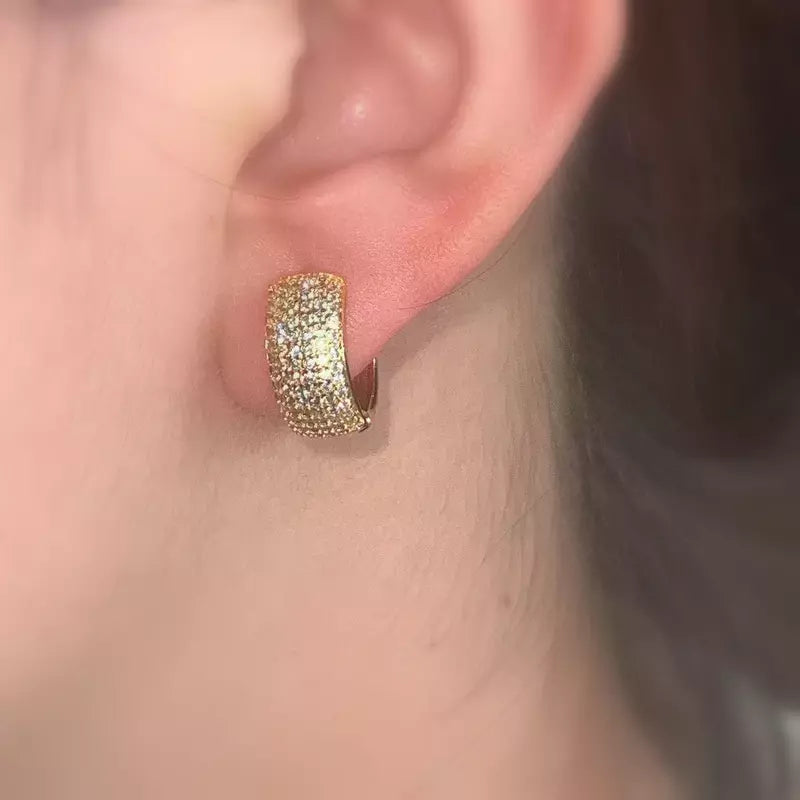 1-Pair-Retro-Circle-Titanium-Steel-Inlay-Zircon-Earrings (1)