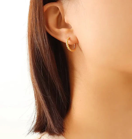 1-Pair-Simple-Style-Circle-Stainless-Steel-18K-Gold-Plated-Hoop-Earrings-display-picture-3