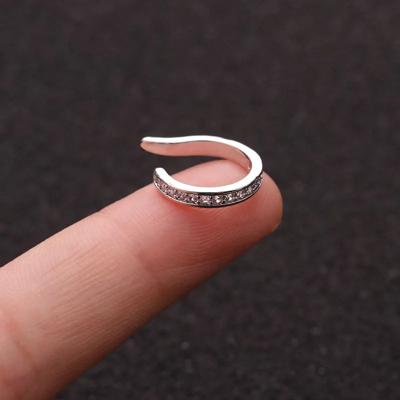 NHEN1099438-Silver-1