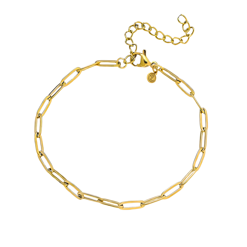 alira link | armband