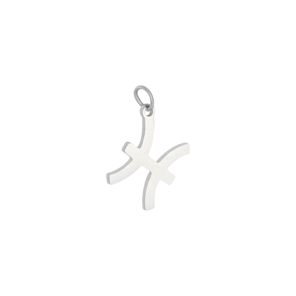 Sternzeichen | silber charm