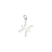 Sternzeichen | silber charm