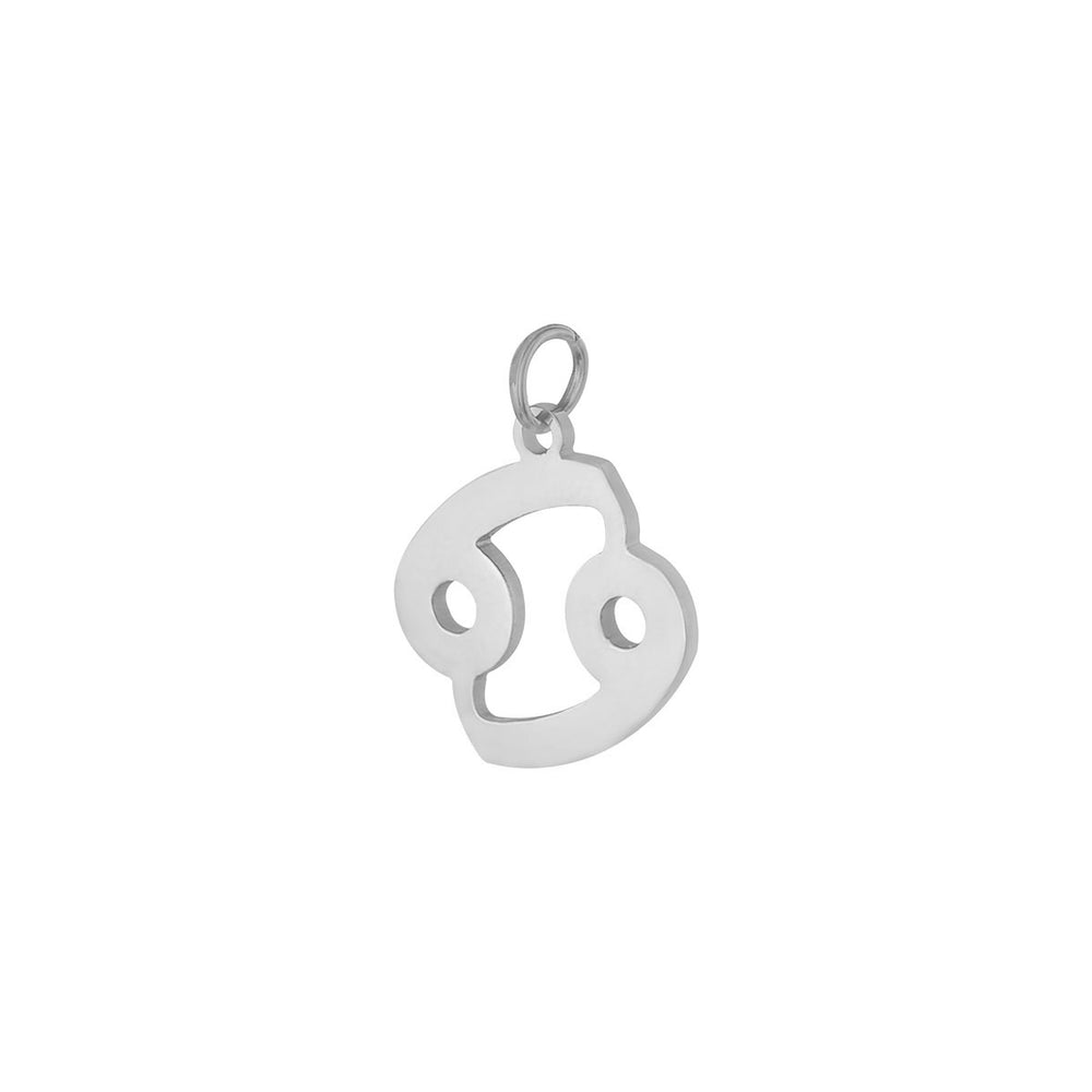 Sternzeichen | silber charm