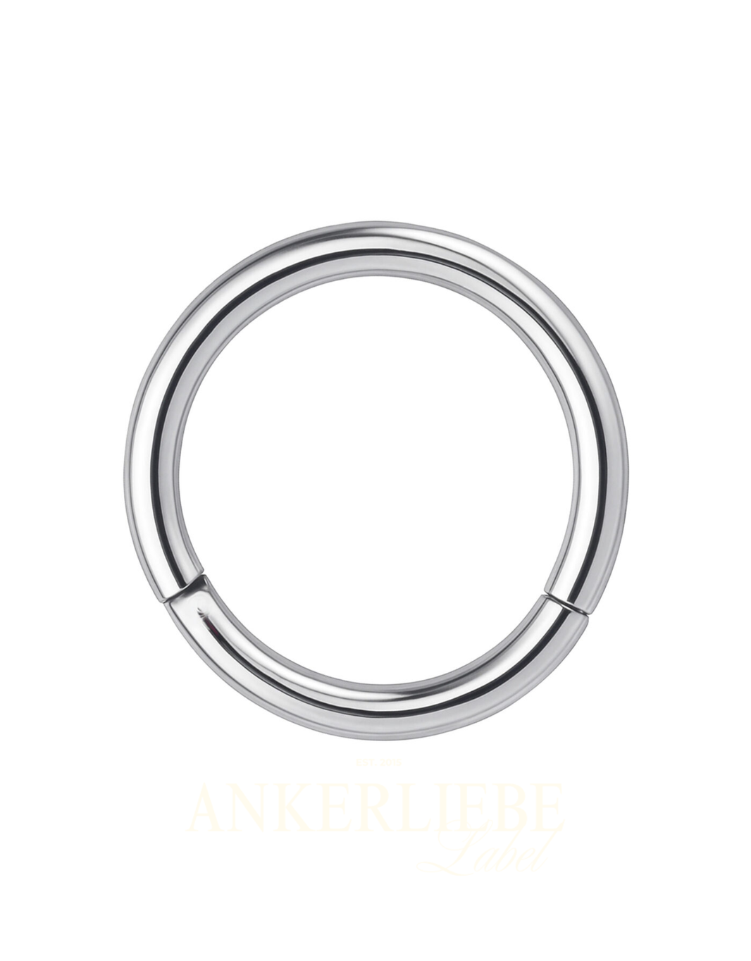 silver segmentring | piercing