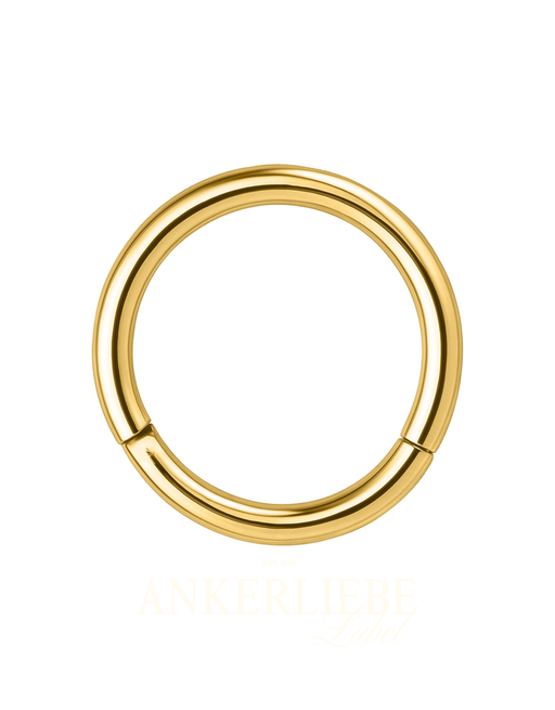 golden segmentring | piercing