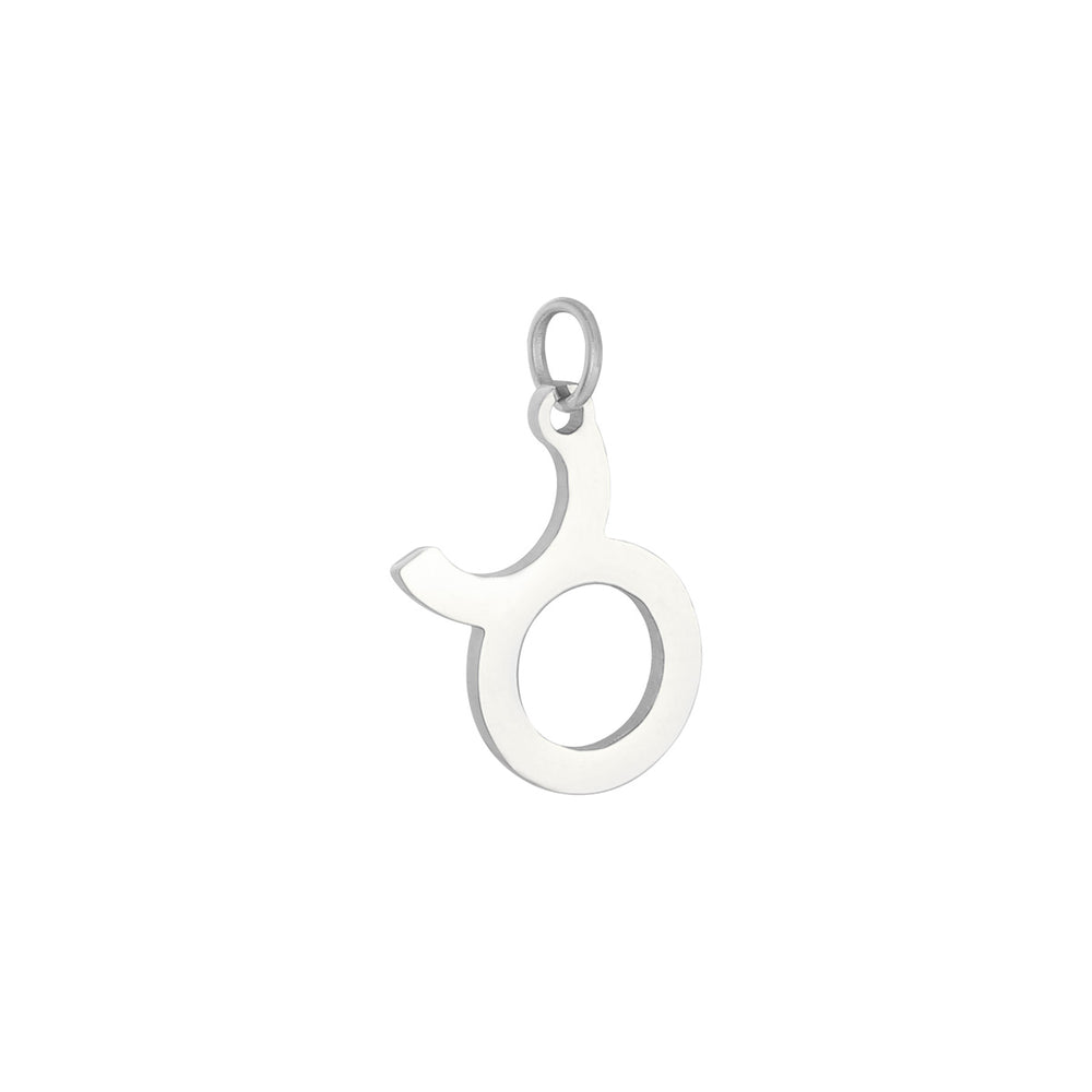 Sternzeichen | silber charm